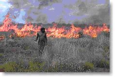 Land Management Image
