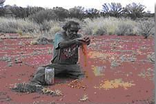 preparing kumpurarpa