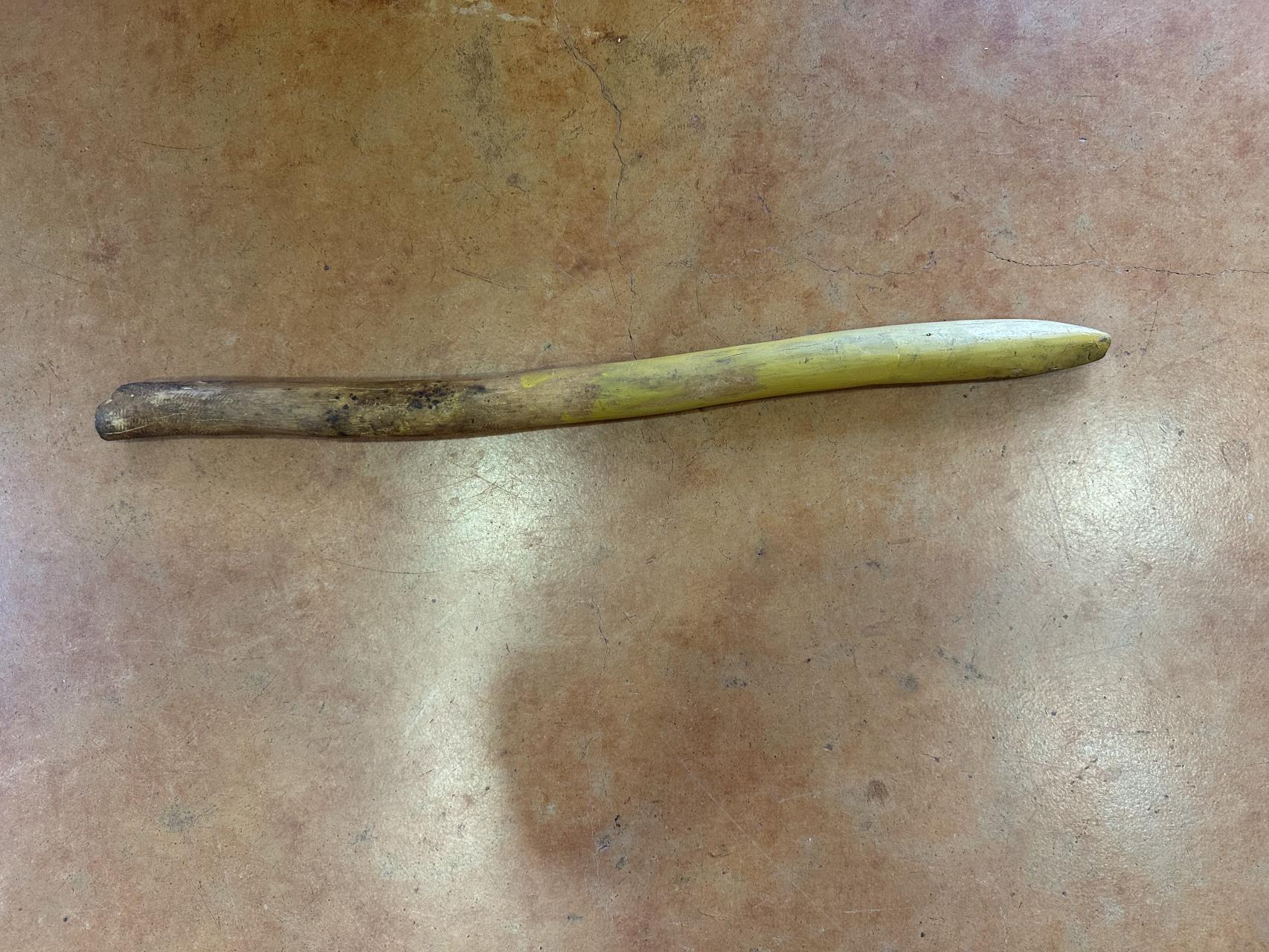 Digging Stick by Elizabeth Holland 