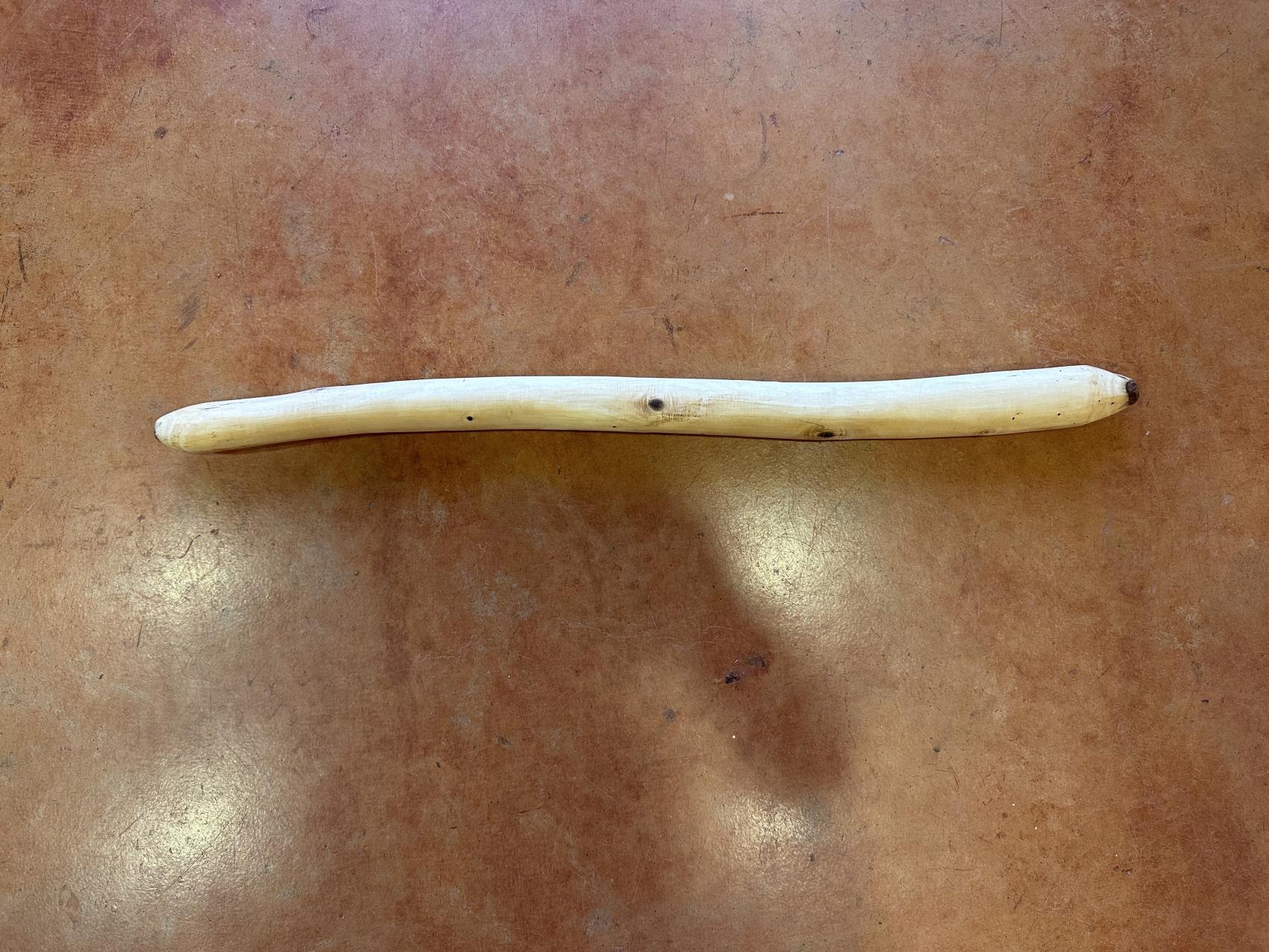 Hunting Stick by Oliver Grant 