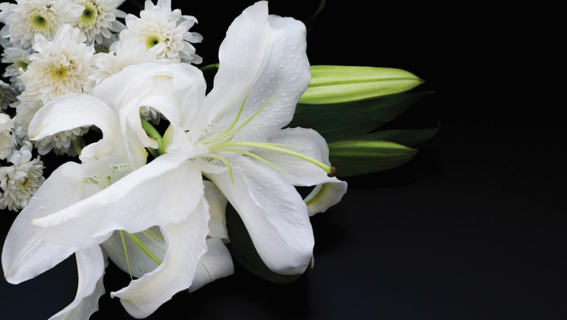 Remembering the Legacy of Lalla West